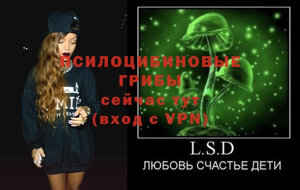 кокс Алзамай