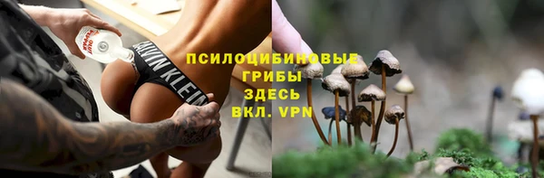 кокс Алзамай