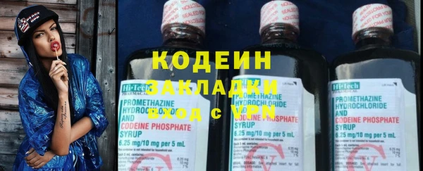 крисы Лабытнанги
