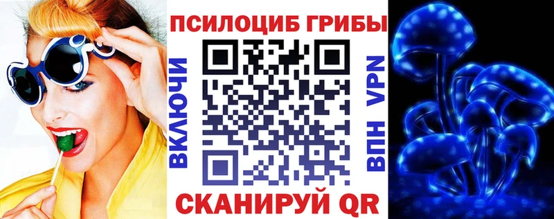 Галлюциногенные грибы Cubensis  Шумиха 